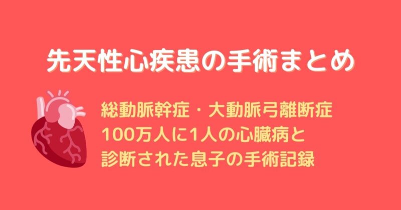 心臓の修復手術から1年経過。重症先天性心疾患の手術まとめ