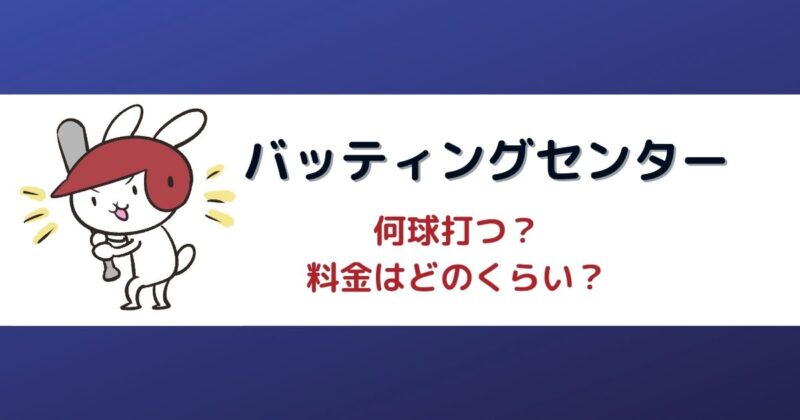 バッティングセンターで何球打つ？心臓病児だけど体力あります