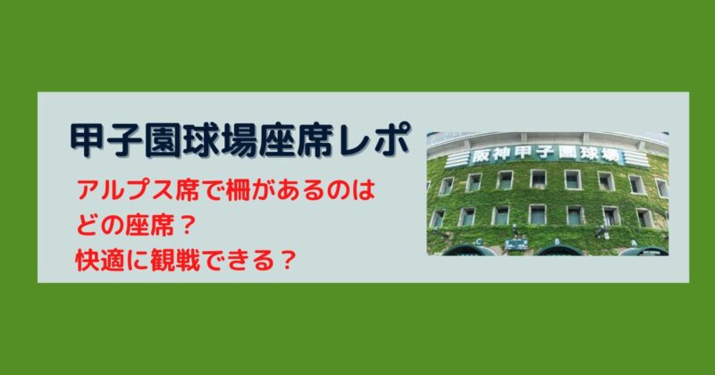 阪神甲子園球場アルプス席で前に柵がある座席はどんな感じ？